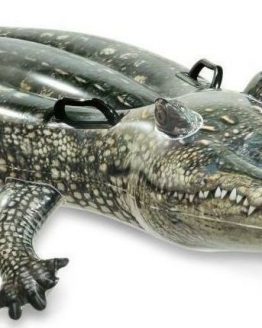 intex aligator